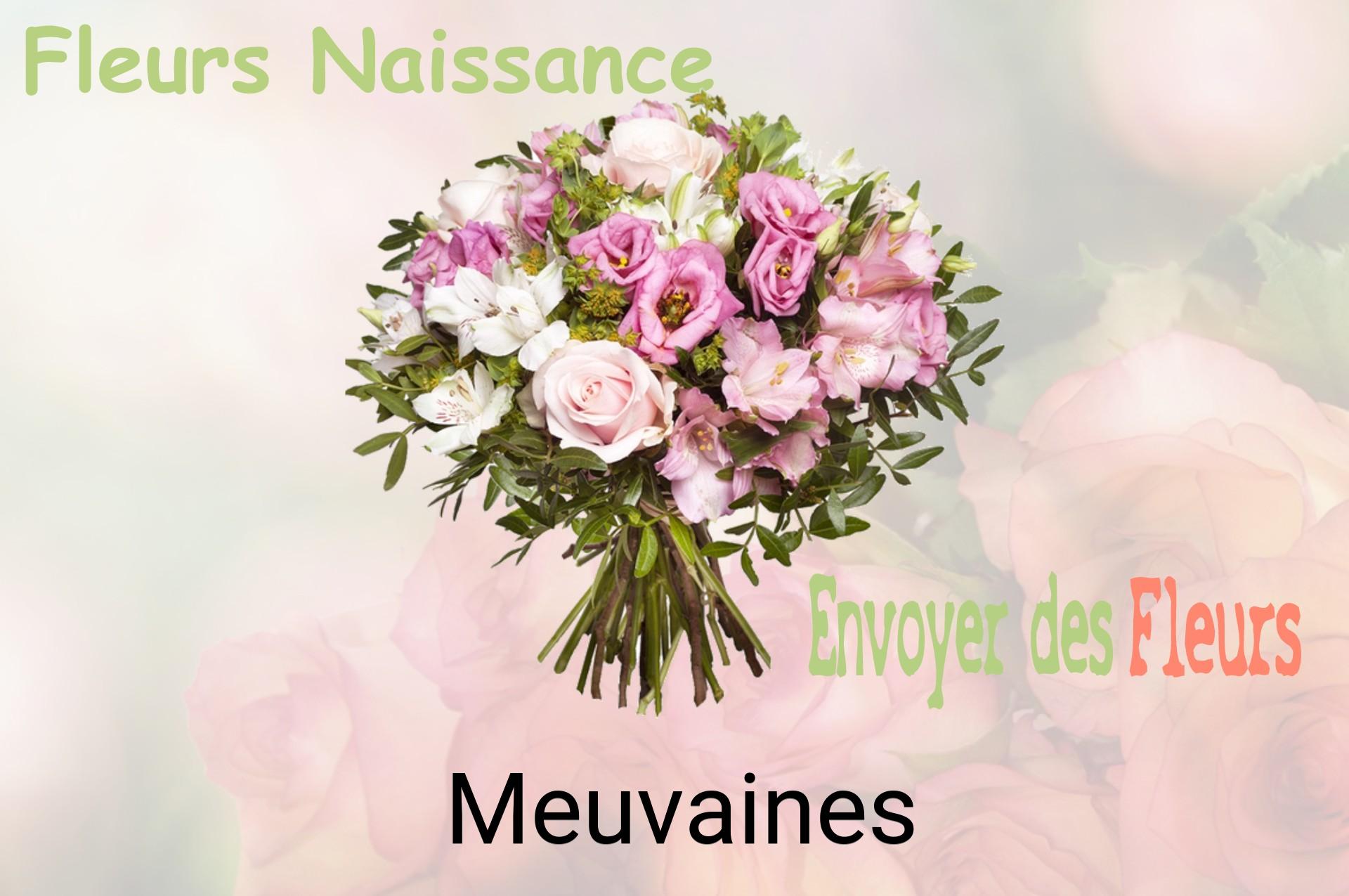 Bouquet de fleurs de naissance livré à Meuvaines